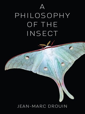 cover image of A Philosophy of the Insect